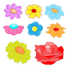 Flowers theme collection