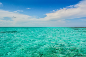 Fototapeta na wymiar Crystal Clear Caribbean Waters Near Caye Caulker / Belize