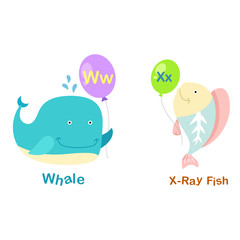 Illustration Isolated Alphabet Letter W-whale,,X-x-ray fish