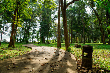 National Park in Ubon Thailand