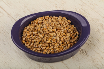Wheat grains