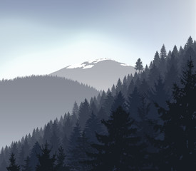 Panorama of mountains. Silhouette of mountains with snow and coniferous trees on the background of gray sky.