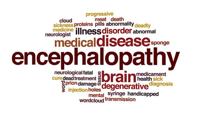 Encephalopathy animated word cloud, text design animation.