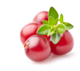 Cranberry with leaf