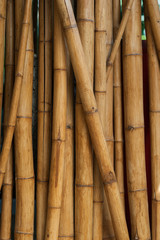 quality natural bamboo background