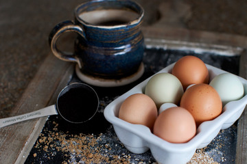 egg 