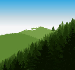  Panorama of mountains. Silhouette of green mountains with snow and coniferous trees on the background of blue sky.  Can be used as eco banner.
