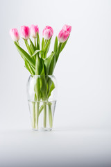 Fototapeta na wymiar pink tulips in vase