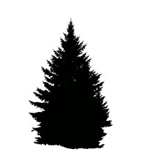 Silhouette of pine  tree (fir) . Can be used as poster, badge, emblem, banner, icon, sign, decor...