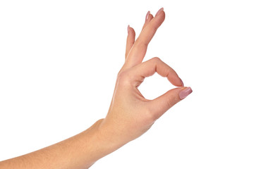 Gesture of the hand on white background