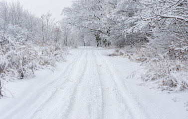 Winter landscape with earth road in a snowy forest