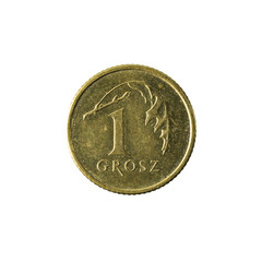 1 polish grosz coin (2010) obverse isolated on white background