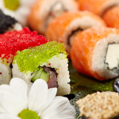 Japanese Sushi Set