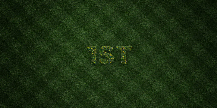 1ST - fresh Grass letters with flowers and dandelions - 3D rendered royalty free stock image. Can be used for online banner ads and direct mailers..