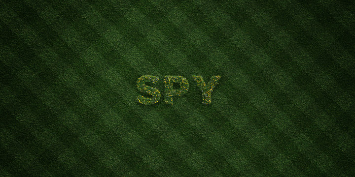 SPY - fresh Grass letters with flowers and dandelions - 3D rendered royalty free stock image. Can be used for online banner ads and direct mailers..