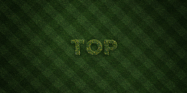 TOP - fresh Grass letters with flowers and dandelions - 3D rendered royalty free stock image. Can be used for online banner ads and direct mailers..