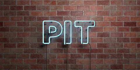 Obraz premium PIT - fluorescent Neon tube Sign on brickwork - Front view - 3D rendered royalty free stock picture. Can be used for online banner ads and direct mailers..