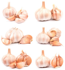 garlic on a white background