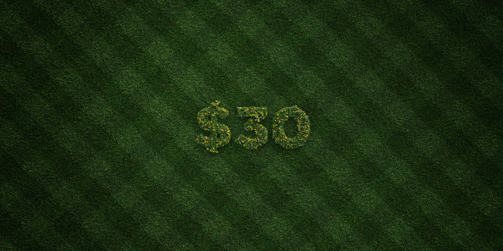 $30 - fresh Grass letters with flowers and dandelions - 3D rendered royalty free stock image. Can be used for online banner ads and direct mailers..