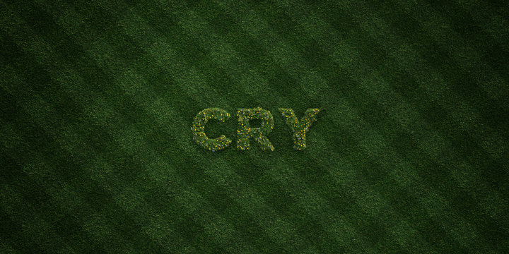 CRY - fresh Grass letters with flowers and dandelions - 3D rendered royalty free stock image. Can be used for online banner ads and direct mailers..