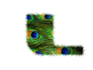 Obraz premium High resolution upper case letter L made of peacock feathers alphabet isolated on white background