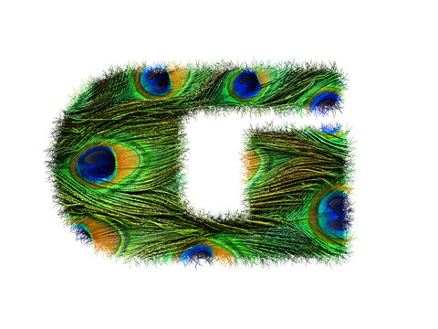 High resolution upper case letter G made of peacock feathers alphabet isolated on white background