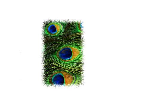 High resolution upper case letter I made of peacock feathers alphabet isolated on white background