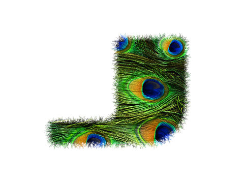 High resolution upper case letter J made of peacock feathers alphabet isolated on white background