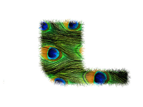 High resolution upper case letter L made of peacock feathers alphabet isolated on white background