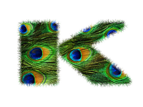High resolution upper case letter K made of peacock feathers alphabet isolated on white background