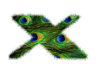 Obraz premium High resolution upper case letter X made of peacock feathers alphabet isolated on white background