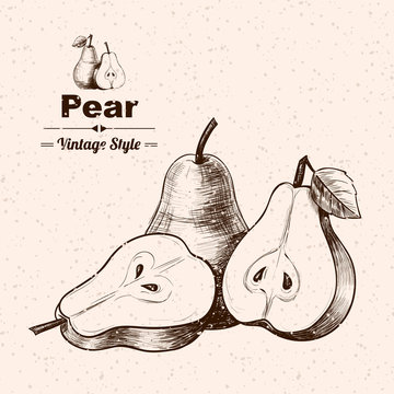 Vector background with pears . Hand drawn. Vintage style