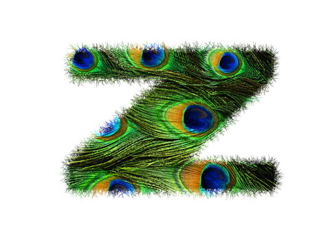 High resolution upper case letter Z made of peacock feathers alphabet isolated on white background