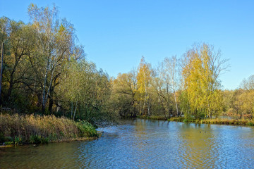 Fototapeta na wymiar Autumn river