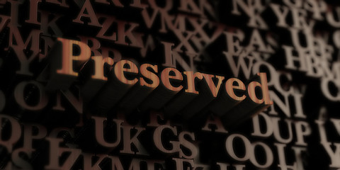 Preserved - Wooden 3D rendered letters/message.  Can be used for an online banner ad or a print postcard.