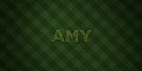 AMY - fresh Grass letters with flowers and dandelions - 3D rendered royalty free stock image. Can be used for online banner ads and direct mailers..