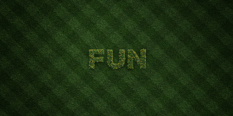FUN - fresh Grass letters with flowers and dandelions - 3D rendered royalty free stock image. Can be used for online banner ads and direct mailers..