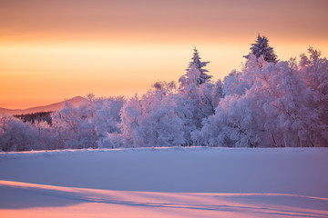 Weiße Winterlandschaft kurz vor Sonnenaufgang