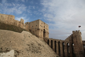 Naklejka premium The Citadel of Aleppo - Syria (Before war, 2011 year)