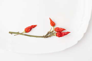 dry red pepper pods, pepper,recipes of the cosmetics and cooking