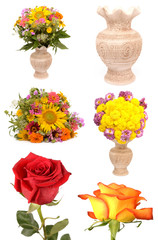 Obraz premium collection of flowers