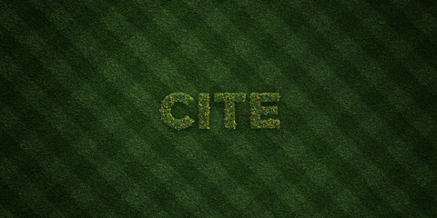 CITE - fresh Grass letters with flowers and dandelions - 3D rendered royalty free stock image. Can be used for online banner ads and direct mailers..
