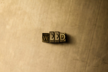 WEED - close-up of grungy vintage typeset word on metal backdrop. Royalty free stock illustration.  Can be used for online banner ads and direct mail.