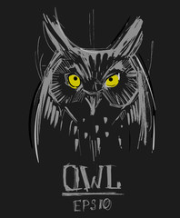 Owl sketch