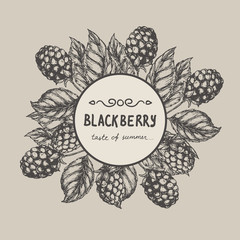 Blackberry Raspberry design template. Blackberry Raspberry branch engraving illustration. Vector illustration