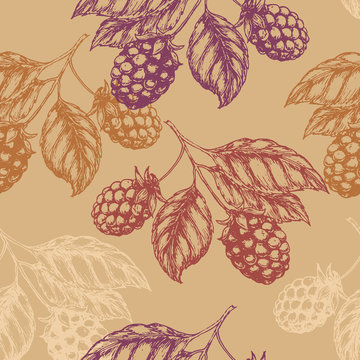 Raspberry blackberry seamless pettern. Vector illustration