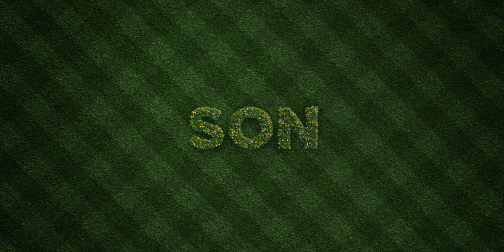 SON - fresh Grass letters with flowers and dandelions - 3D rendered royalty free stock image. Can be used for online banner ads and direct mailers..