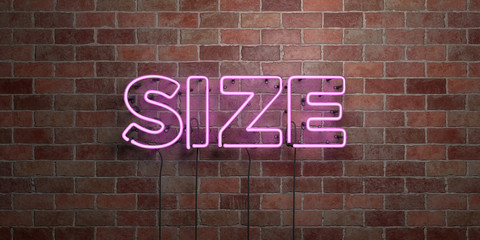 SIZE - fluorescent Neon tube Sign on brickwork - Front view - 3D rendered royalty free stock picture. Can be used for online banner ads and direct mailers..