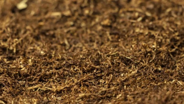 Extreme closeup / macro slide of  tobacco. Shallow depth of field. Ideal as a background with tobacco related projects. 1080p, 30fps.