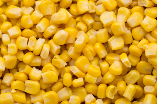 Bulk of yellow corn grains texture.